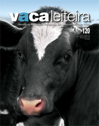 revista 120