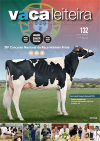 revista 132